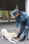 Профориентация270422-2