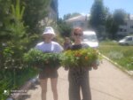 Субботник100622-4