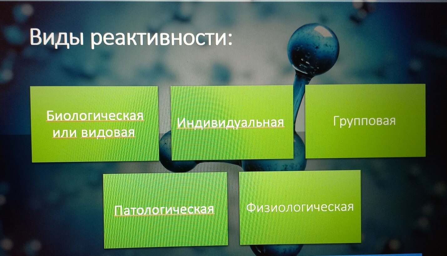 Реактивность нашего организма Белгородский педагогический колледж