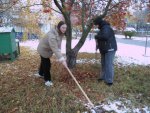Волонтеры