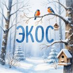 Экос