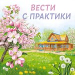 Вести с практики д/с