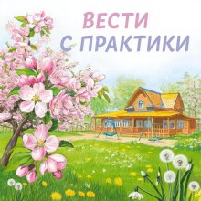 Вести с практики д/с