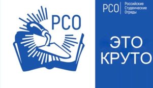 РСО логотип новый