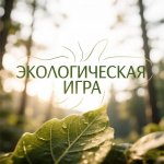 Экологическая игра «Кладовая природы»