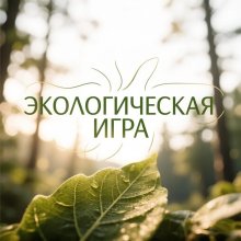Эко игра